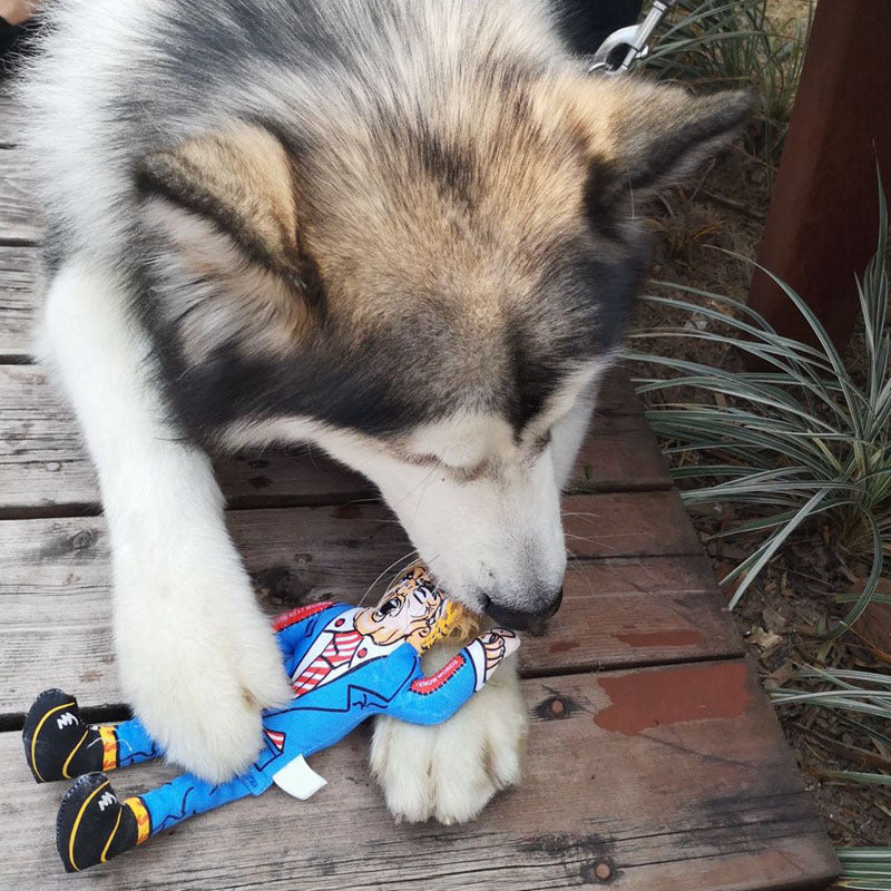Pet Toys