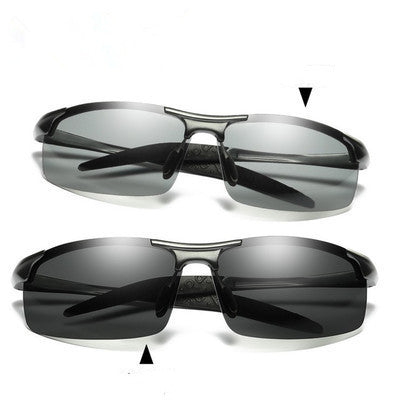 Polarized Glasses