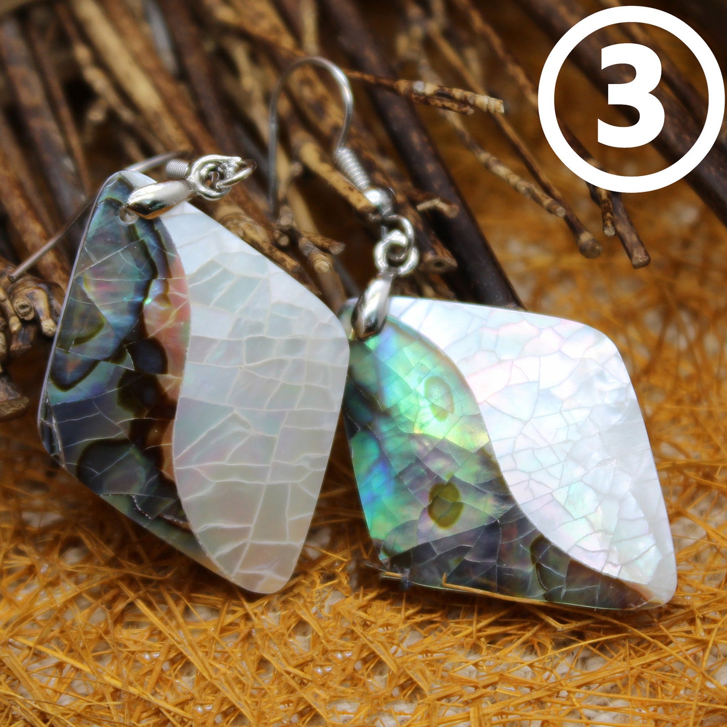 Drop Abalone Shell Earrings